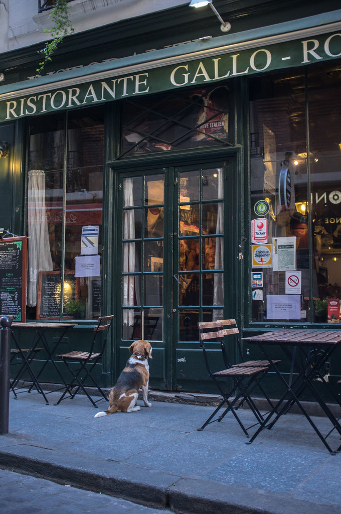 How to Choose Restaurant Furniture: A New Owner's Guide | Independent Restaurant Furniture Co.