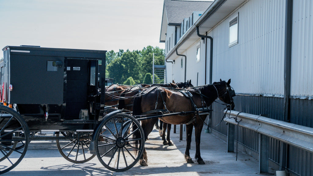 Pennsylvania Amish Craftsmanship: Solid Wood Restaurant Tables & Booths | IRF